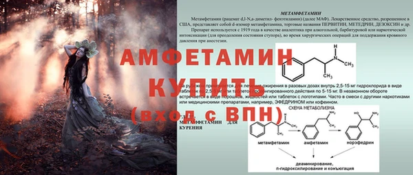 бошки Осташков