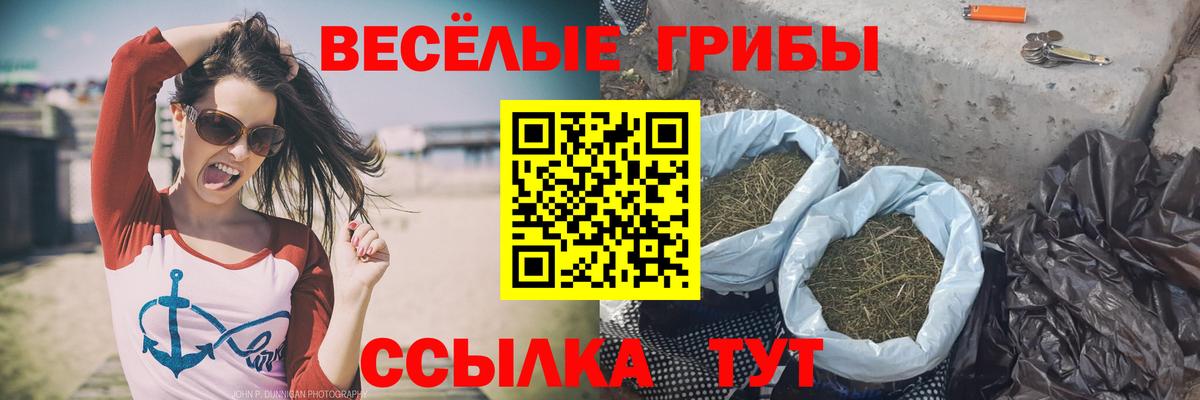 Псилоцибиновые грибы мухоморы  Галлюциногенные грибы Psilocybe  Вход с VPN  Мегион 